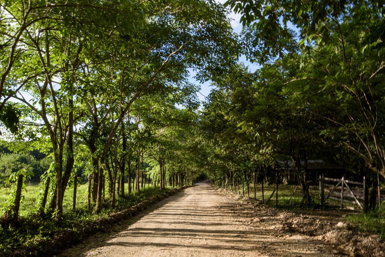 Villas Adriana, Palenque Buitenkant foto